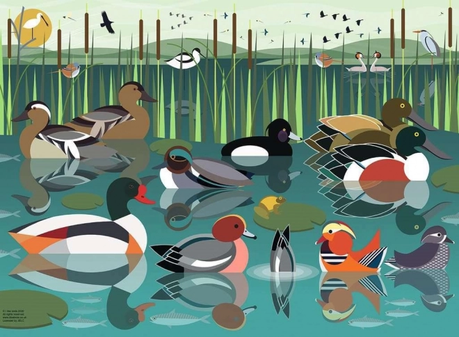 Puzzle Wasservögel 500 Teile