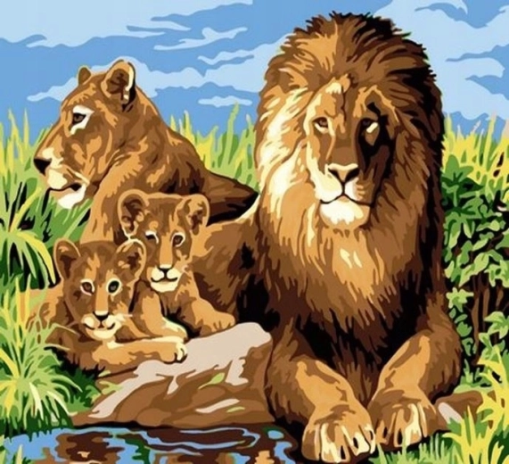 NORIMPEX Malen nach Zahlen Löwenfamilie 40 × 50 cm
