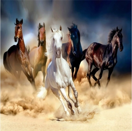 Diamantmosaik (Diamond Painting) Pferdeherde im Galopp 30 × 30 cm