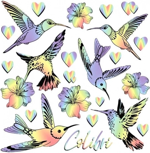 Bügelbilder Regenbogen-Kolibris – kleiner Bogen 15 × 21 cm