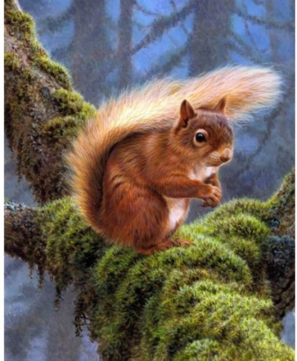 Diamantmalerei (Diamond Painting) Eichhörnchen 30 × 40 cm – 1 Stück
