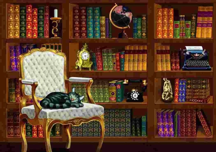 Puzzle Vintage-Bibliothek 1000 Teile