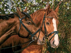 Puzzle Freunde für immer XL 275 Teile von Cobble Hill