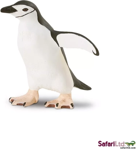 Zügelpinguin