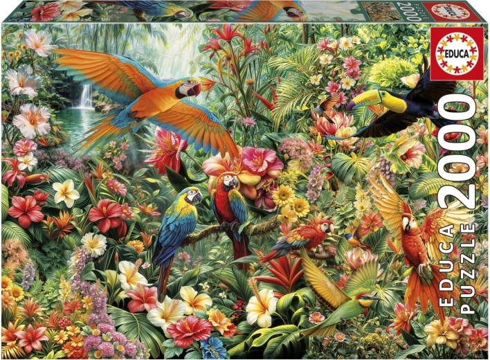 Puzzle Amazonas-Vögel 2000 Teile EDUCA