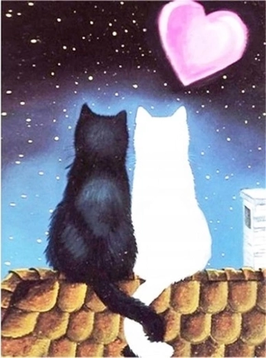 Norimpex Diamantmalerei Katzenliebe 30 × 40 cm