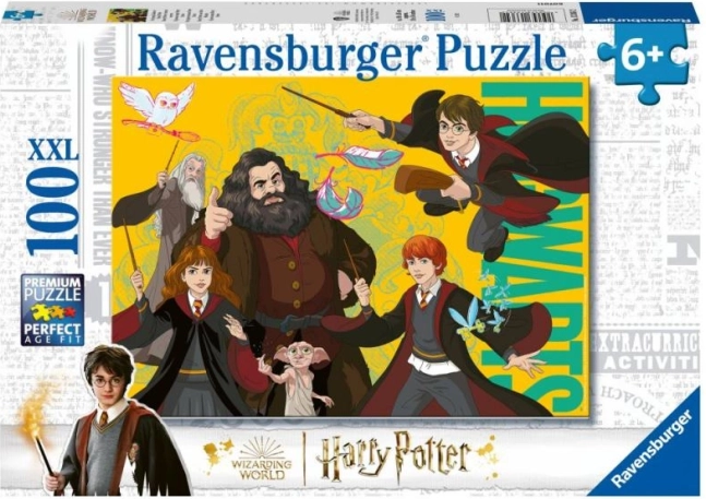 Harry Potter: junger Zauberer Puzzle 100 Teile