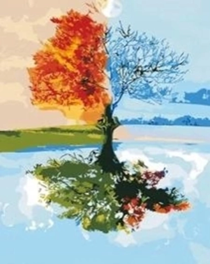 Norimpex Malen nach Zahlen Baum – vier Jahreszeiten 40 × 50 cm