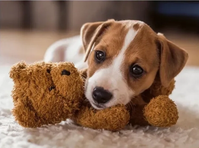 Ravensburger Puzzle Wärmende Umarmung 500 Teile