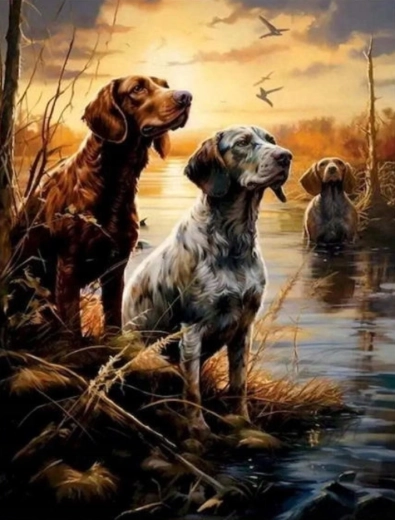 Malen nach Zahlen Hunde im Sumpf 40 × 50 cm NORIMPEX
