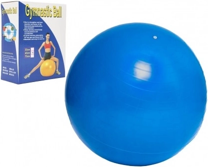 Gymnastikball 65 cm für Training und Rehabilitation