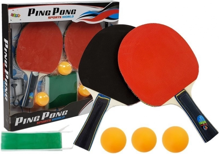 Volleyball-Set aus Tischtennisschlägern