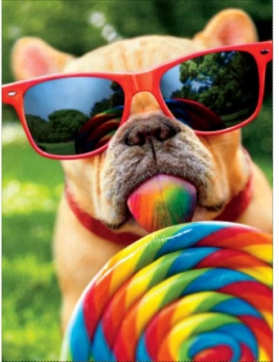 Diamantmalerei – Hund mit Brille 30 × 40 cm