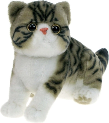 Plüsch-Exotikkatze grauweiß 26 cm