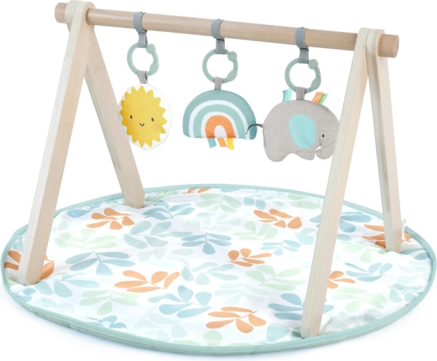 Ingenuity Spieldecke Sun Valley mit Holz-Spielbogen
