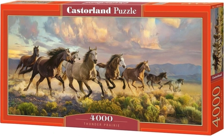 Castorland Puzzle „Präriehunde“ 4000 Teile