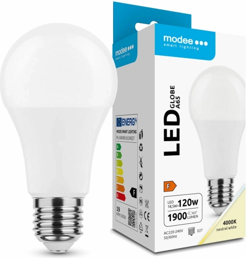 LED-Glühbirne Globe A65 18,5 W E27 4000 K 270°