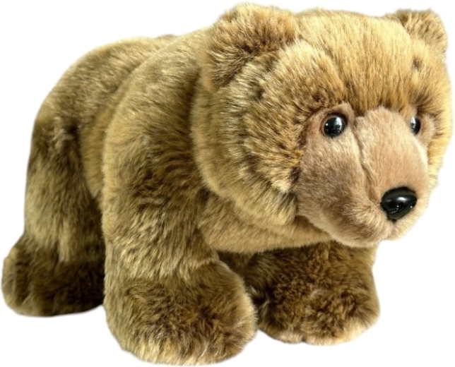 Plüsch-Braunbär, stehend, 36 cm - 1 Stück