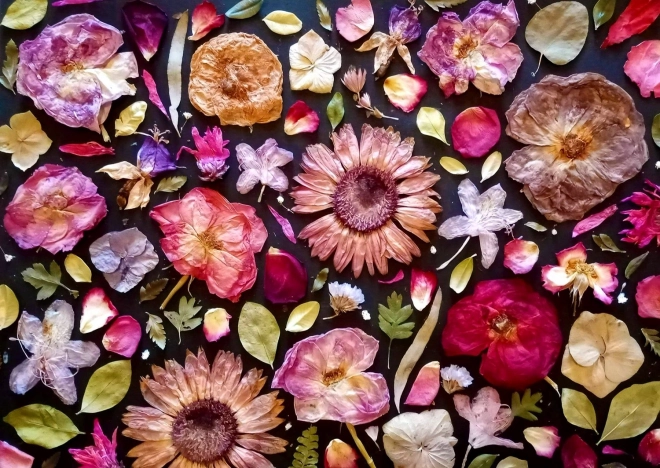 Enjoy Puzzle rosa 1000 Teile