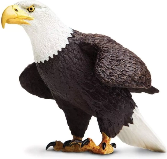 Safari Ltd. Weißkopfseeadler Figur - 1 Stück