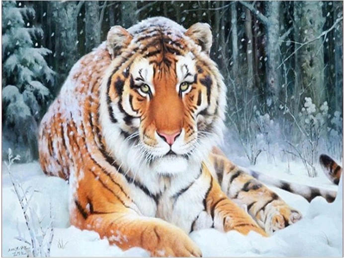 Diamantmalerei Tiger liegend im Schnee 30 × 40 cm