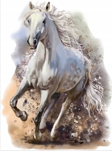 Norimpex Diamantmalerei galoppierendes weißes Pferd 30 × 40 cm