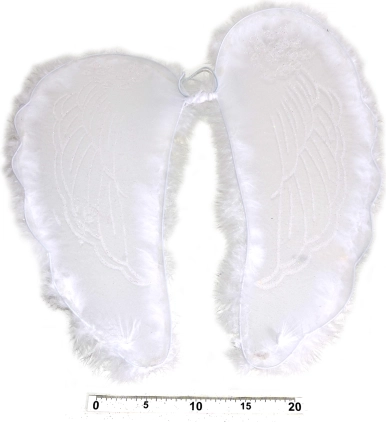 Engelsflügel mit Federn 47 × 47 cm