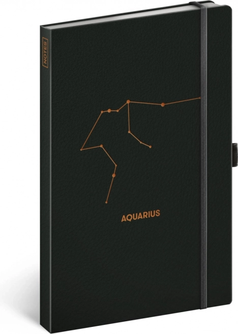 Notizbuch Tierkreis Wassermann, liniert 13 × 21 cm