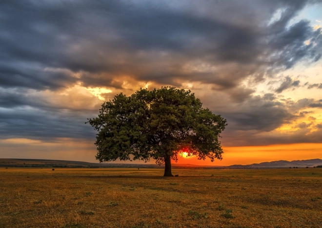 Puzzle Dämmerung 1000 Teile ENJOY