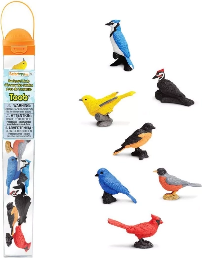 Safari Ltd. TOOBS Tube Vögel