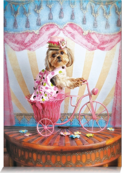 Puzzle Snílker Reisender 500 Teile