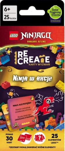 LEGO NINJAGO Herausforderungskarten: Ninja in Aktion