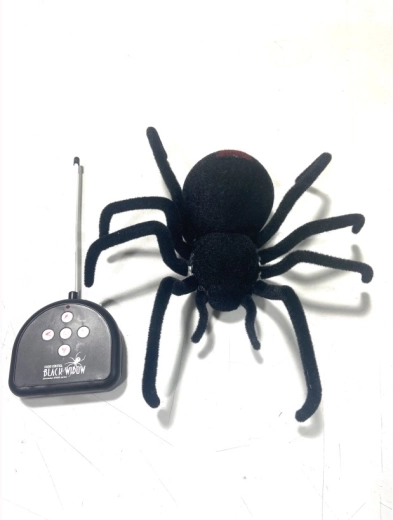 RC-Spinne Schwarze Witwe