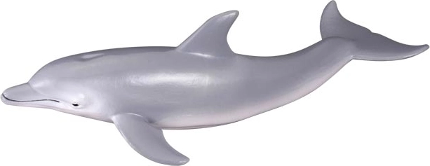 Delfin