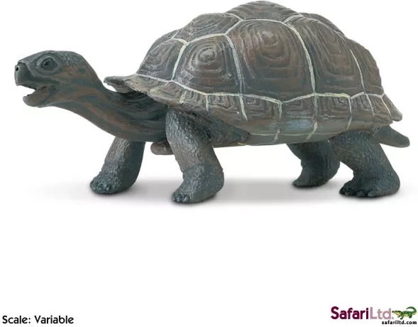 Safari Ltd. Jungtier der Galápagos-Schildkröte Figur – 1 Stück