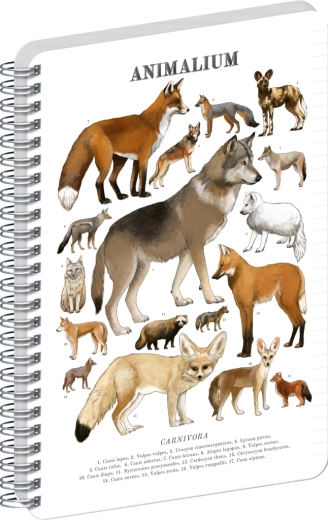 Notique Spiralblock Animalium – Hundeartige Raubtiere, liniert, A4