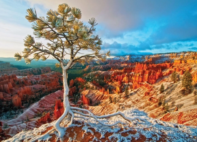 Puzzle EUROGRAPHICS Winterliche Morgendämmerung, Bryce Canyon (1000 Teile)