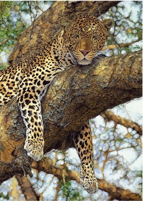 Puzzle Leopard 1000 Teile