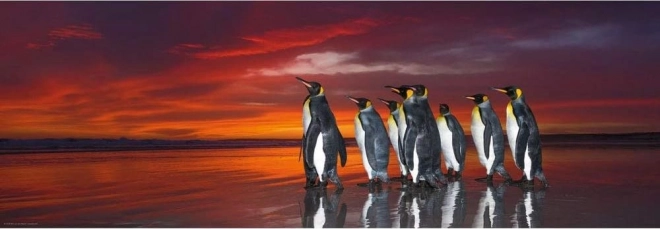 Puzzle 1000 Teile – Königspinguine