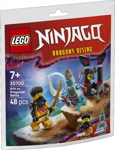 Klocky NINJAGO Arins Kampf mit dem Drachen
