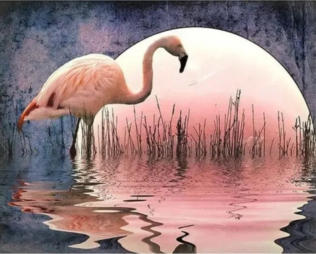 Norimpex Malen nach Zahlen Flamingo 40 × 50 cm