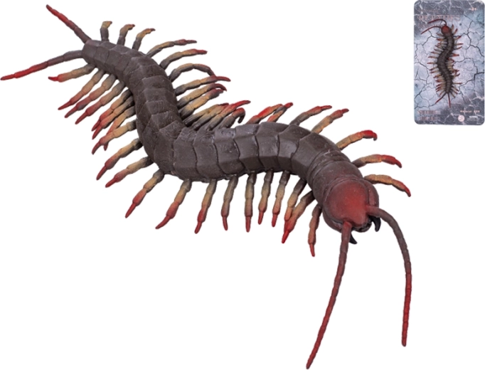 Dehnbare Hundertfüßer 17 cm