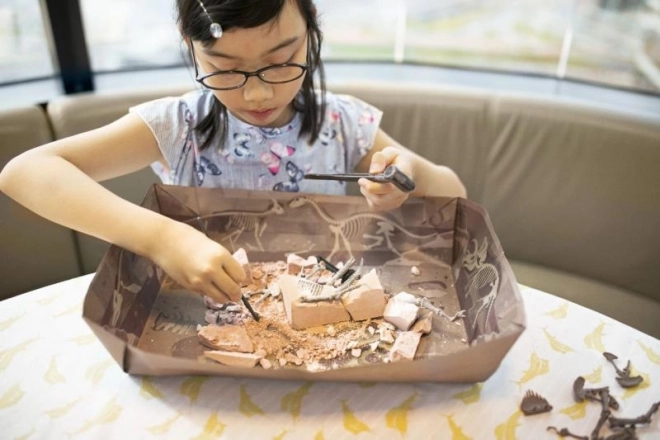 Ausgrabungsset Brachiosaurus – Dinosaurierskelett für Kinder