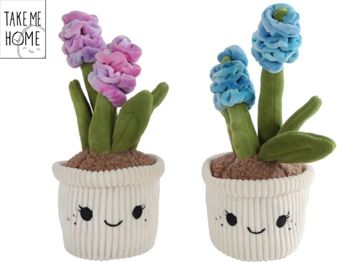 Plüsch-Hyazinthe Take Me Home 26,5 cm