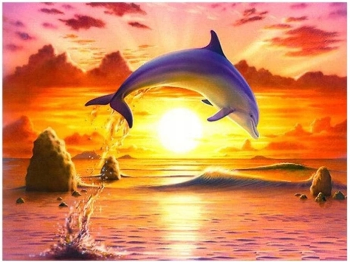 Norimpex Malen nach Zahlen Springender Delfin bei Sonnenuntergang 40 × 50 cm