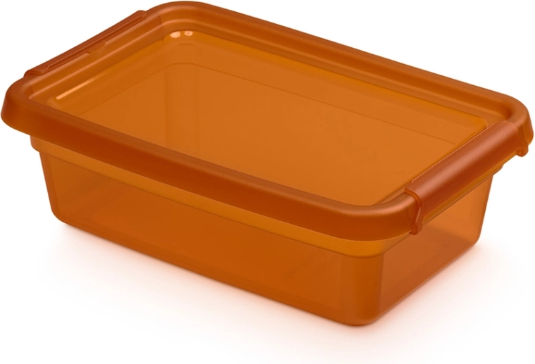 Basestore Aufbewahrungsbox mit Deckel und Clips, amber 3 l (19 × 28 × 9 cm)