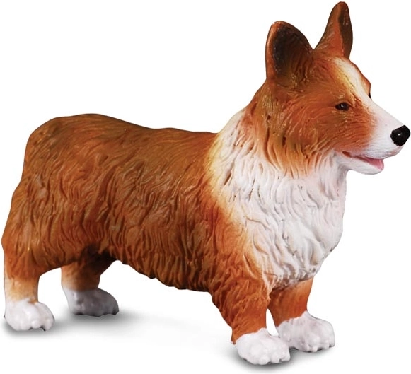 Figur Welsh Corgi von CollectA