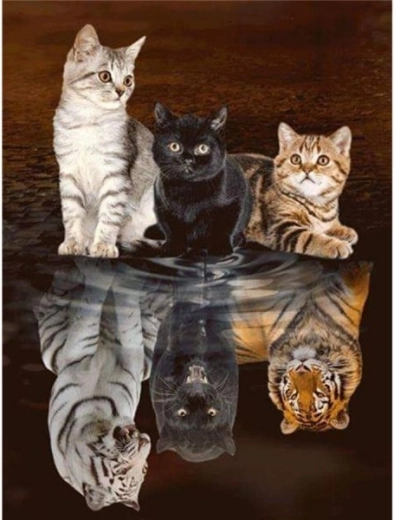 Diamantstickerei (Diamond Painting) Spiegelbild – drei Katzen 30 × 40 cm - 1 Stück