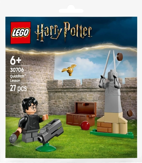 LEGO Harry Potter Quidditch-Unterricht