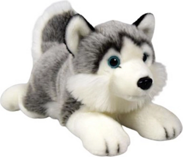 Plüsch-Husky liegend 34 cm